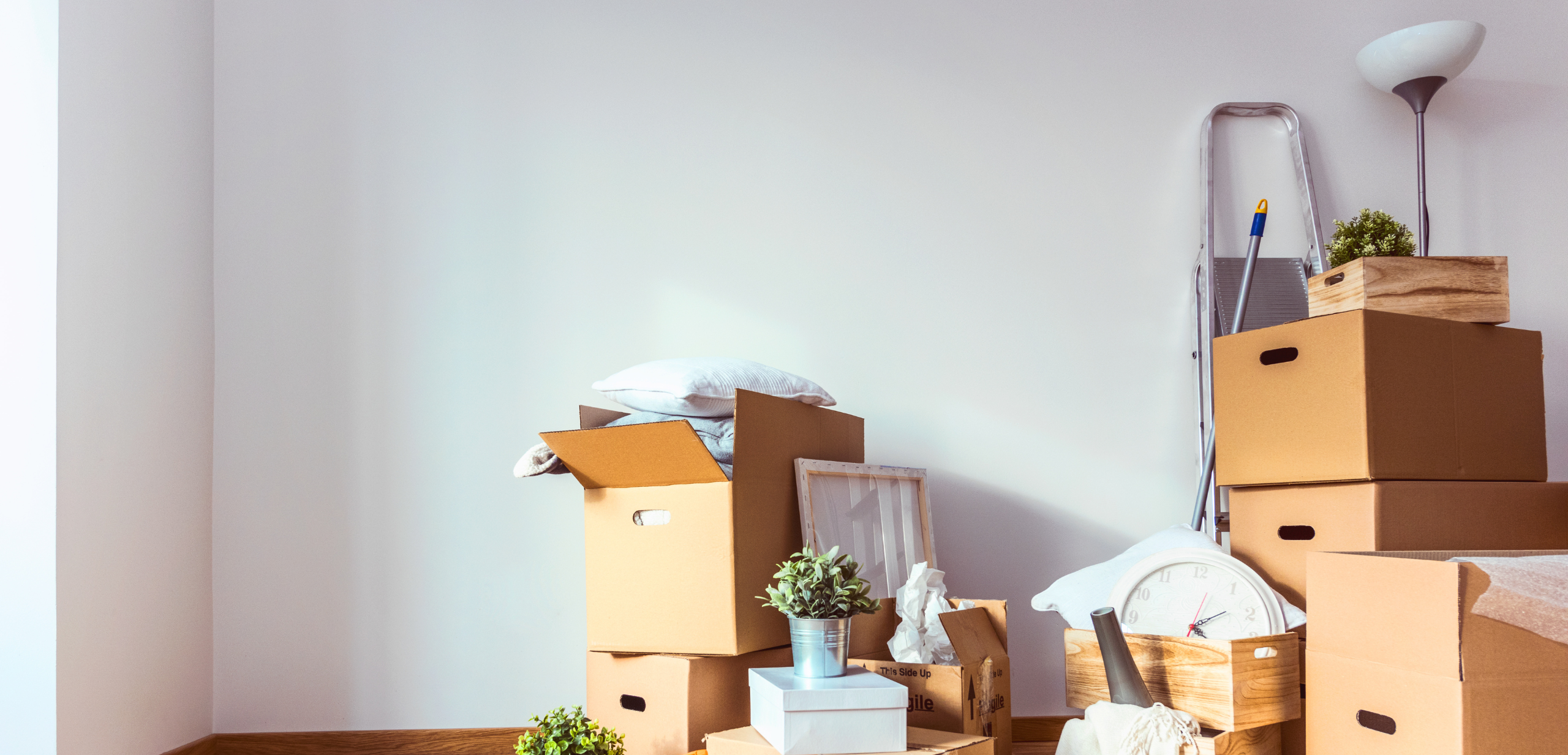 Featured image for “Home renovations and second homes see big rise through 2020”
